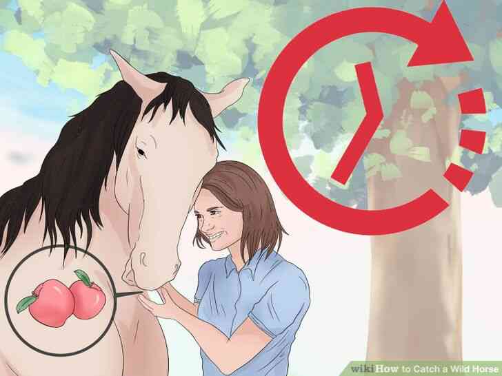 Image intitulée Attraper un Cheval Sauvage Étape 10